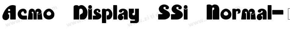 Acmo Display SSi Normal字体转换